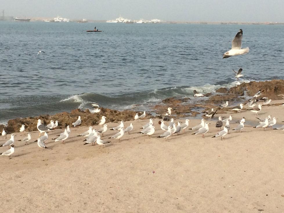 Porbandar_chowapti Porbandar tourist places